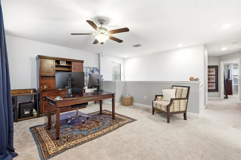 917 TERRA VISTA STREET Brandon, FL 33511