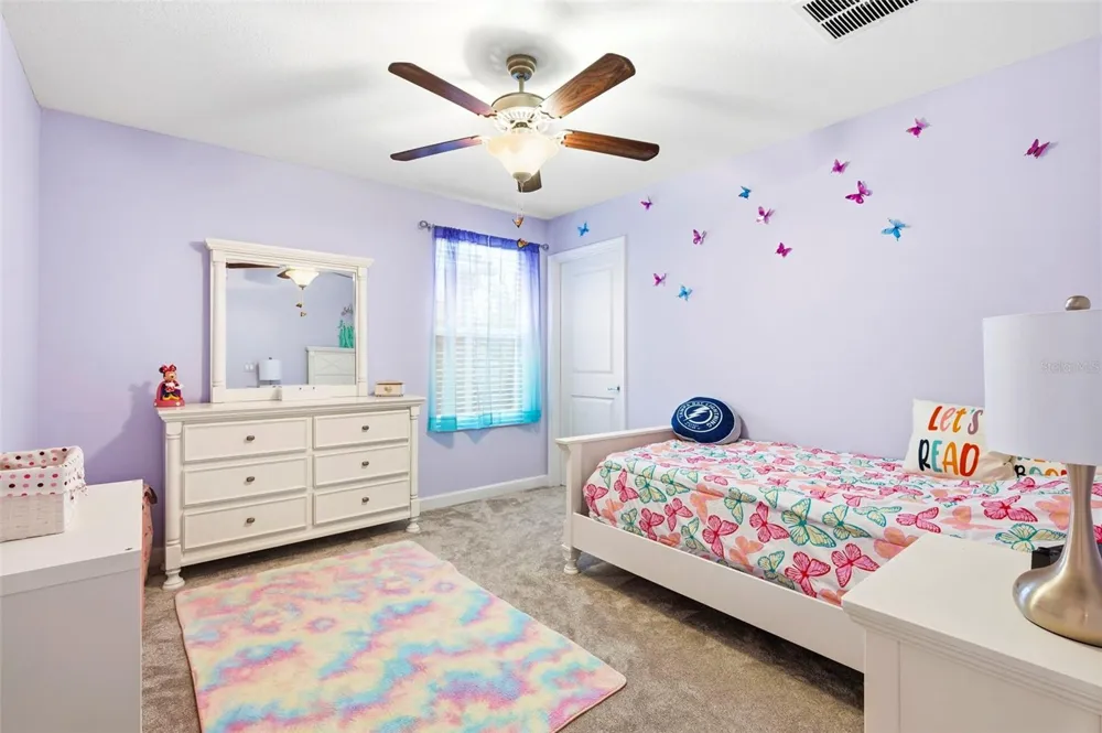 917 TERRA VISTA STREET Brandon, FL 33511