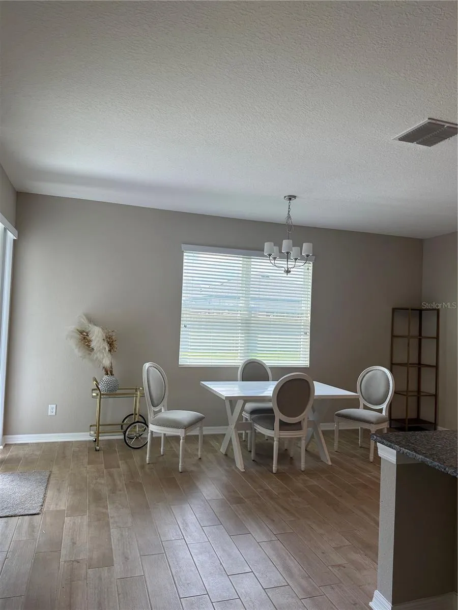 31954 SAPNA CHIME DRIVE Wesley Chapel, FL 33545