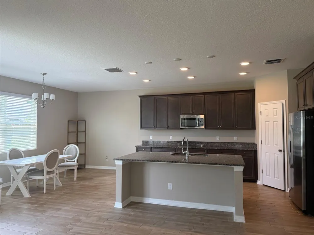 31954 SAPNA CHIME DRIVE Wesley Chapel, FL 33545