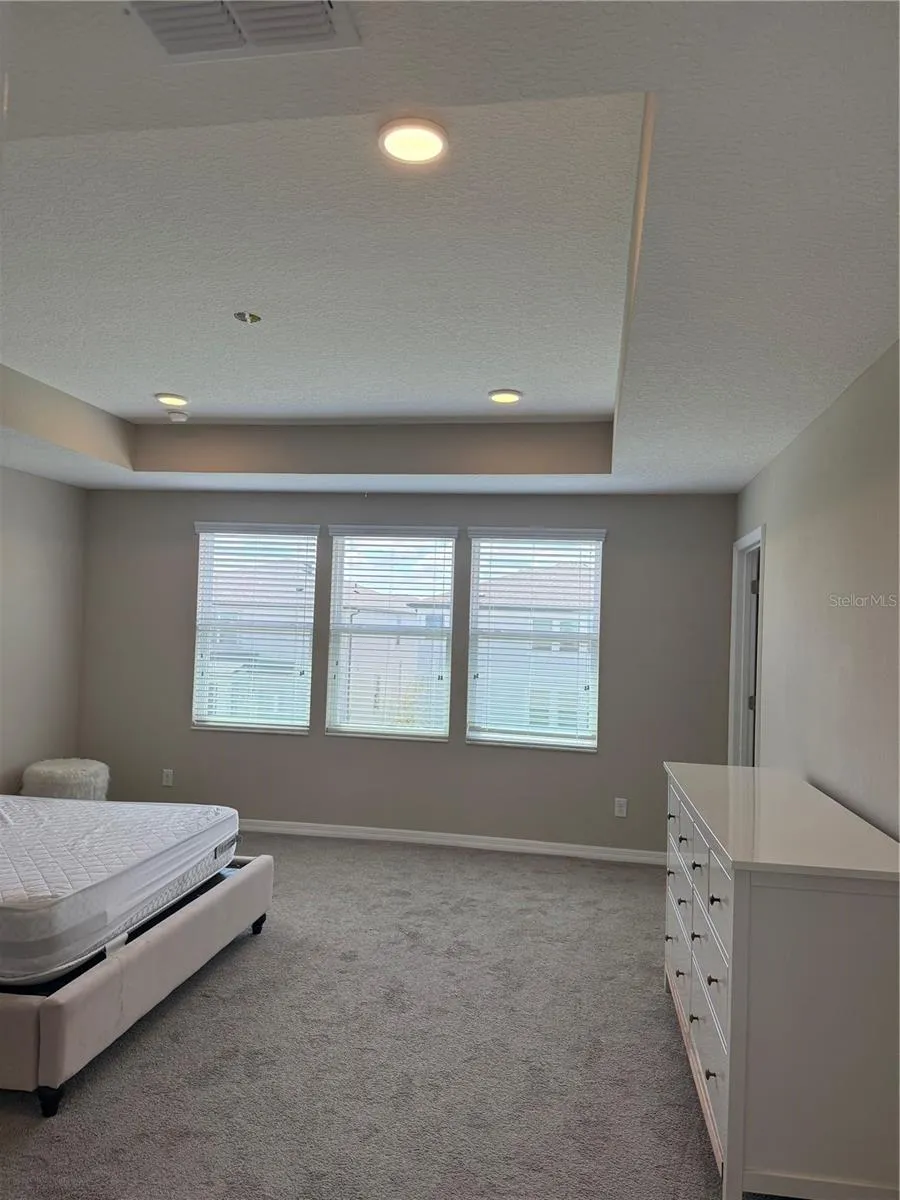 31954 SAPNA CHIME DRIVE Wesley Chapel, FL 33545