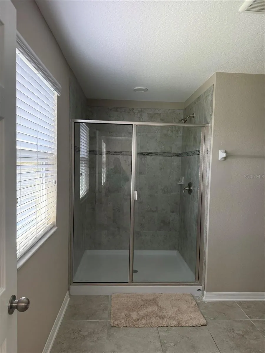 31954 SAPNA CHIME DRIVE Wesley Chapel, FL 33545
