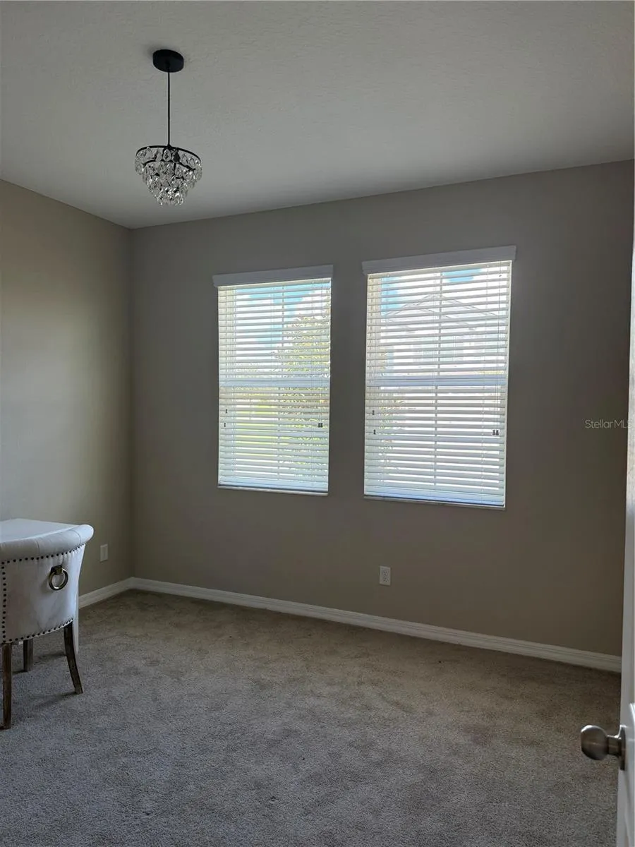 31954 SAPNA CHIME DRIVE Wesley Chapel, FL 33545