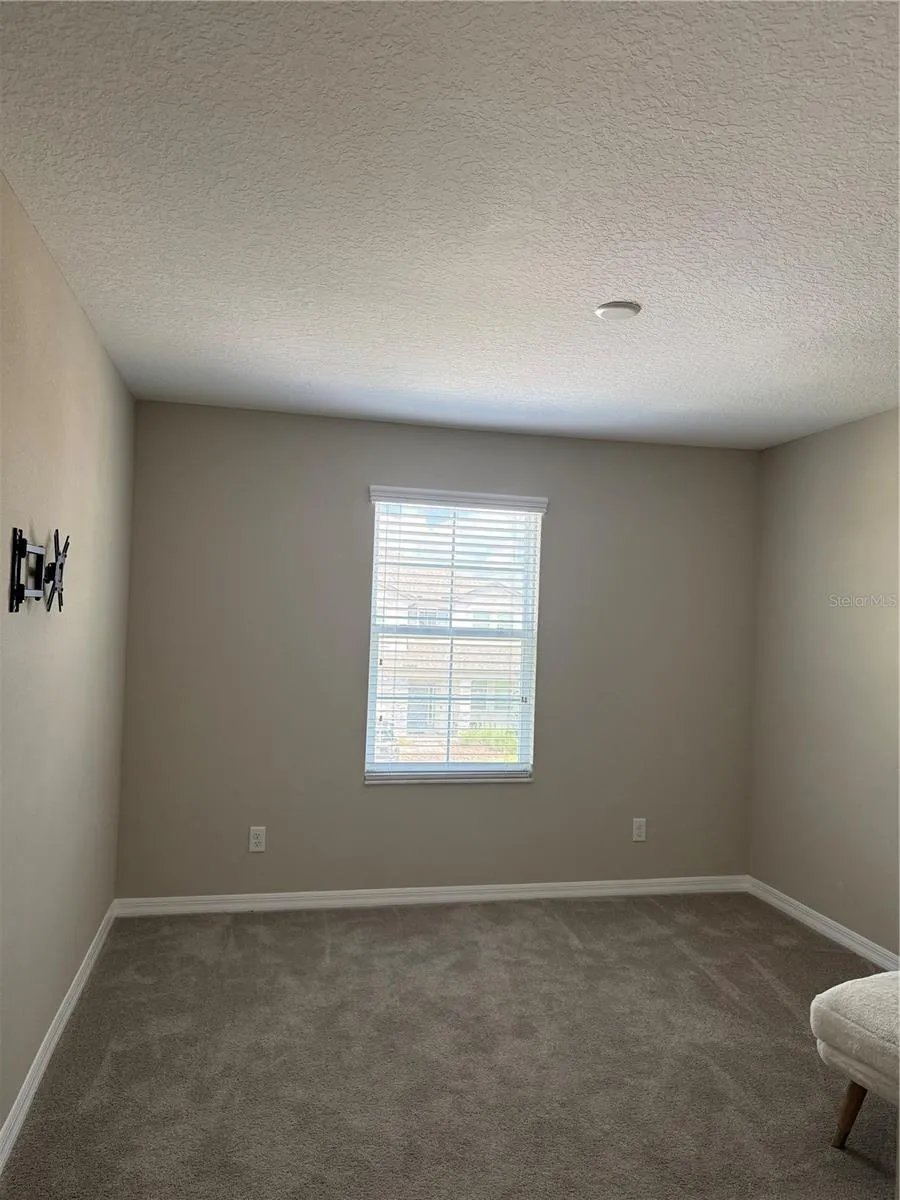 31954 SAPNA CHIME DRIVE Wesley Chapel, FL 33545
