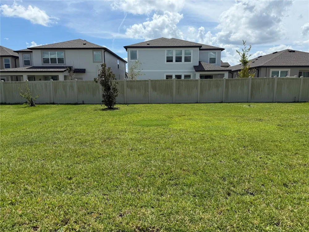 31954 SAPNA CHIME DRIVE Wesley Chapel, FL 33545