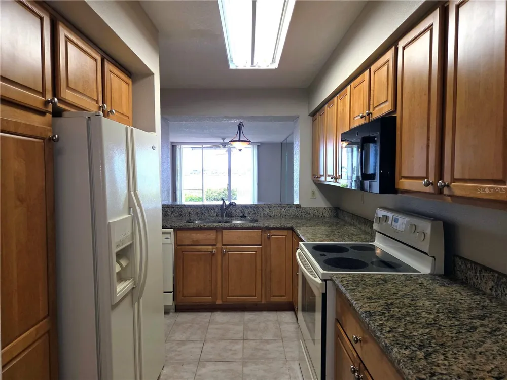 5801 BAHIA DEL MAR CIRCLE #113 St Petersburg, FL 33715