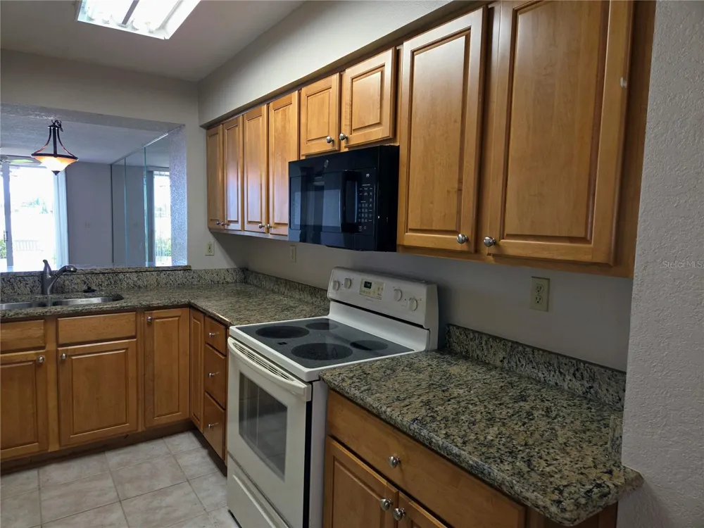 5801 BAHIA DEL MAR CIRCLE #113 St Petersburg, FL 33715