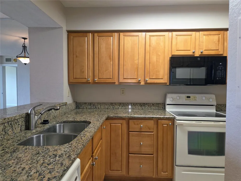 5801 BAHIA DEL MAR CIRCLE #113 St Petersburg, FL 33715