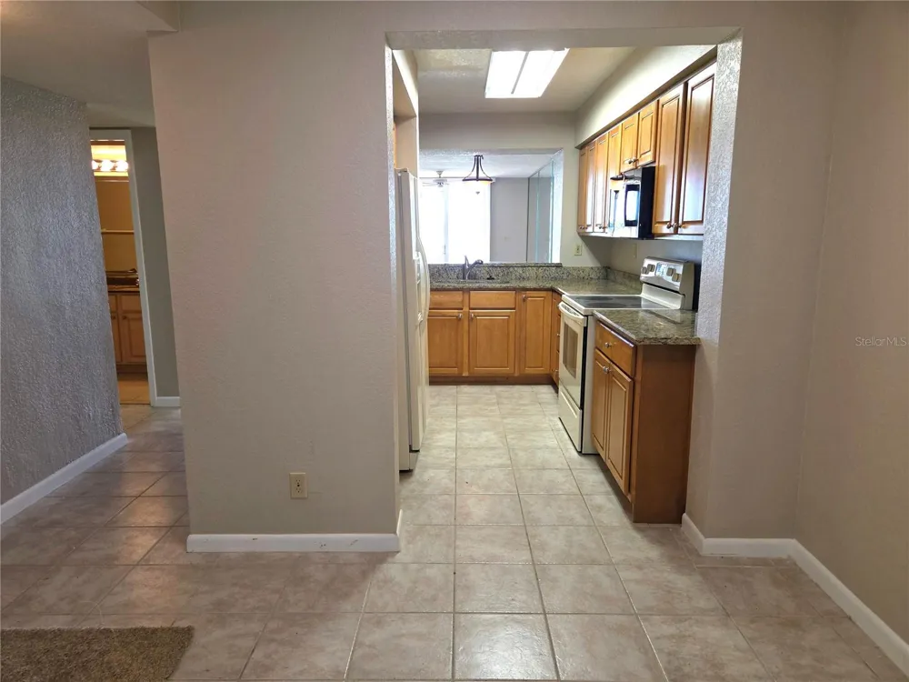 5801 BAHIA DEL MAR CIRCLE #113 St Petersburg, FL 33715