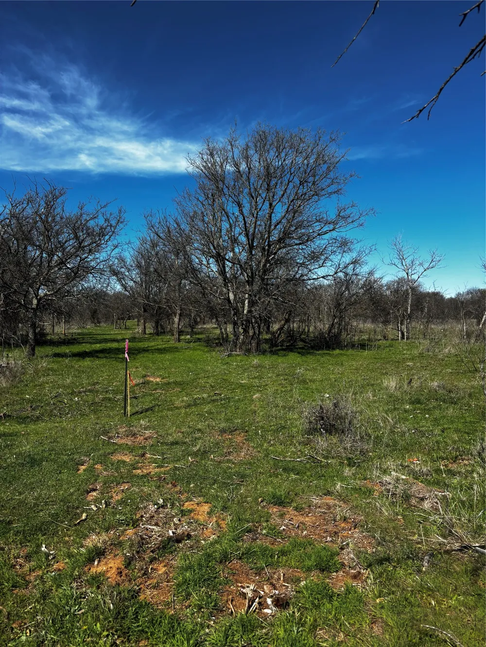 382 High Plains Court Bellevue, TX 76230