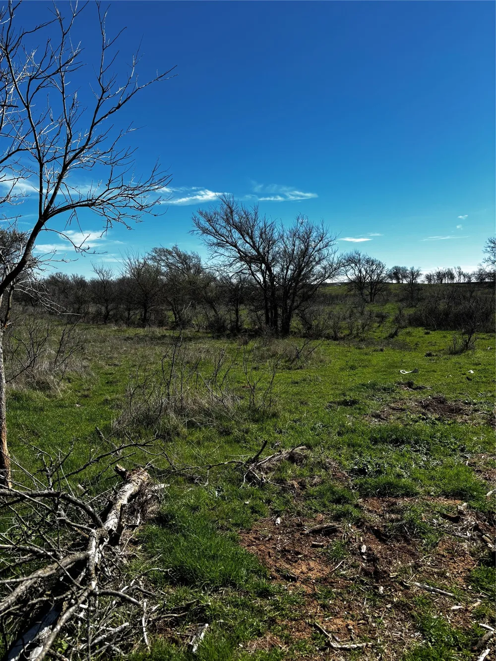382 High Plains Court Bellevue, TX 76230