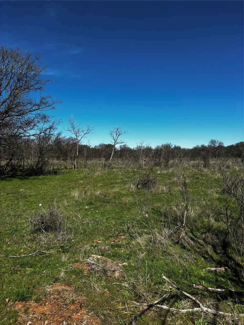 382 High Plains Court Bellevue, TX 76230