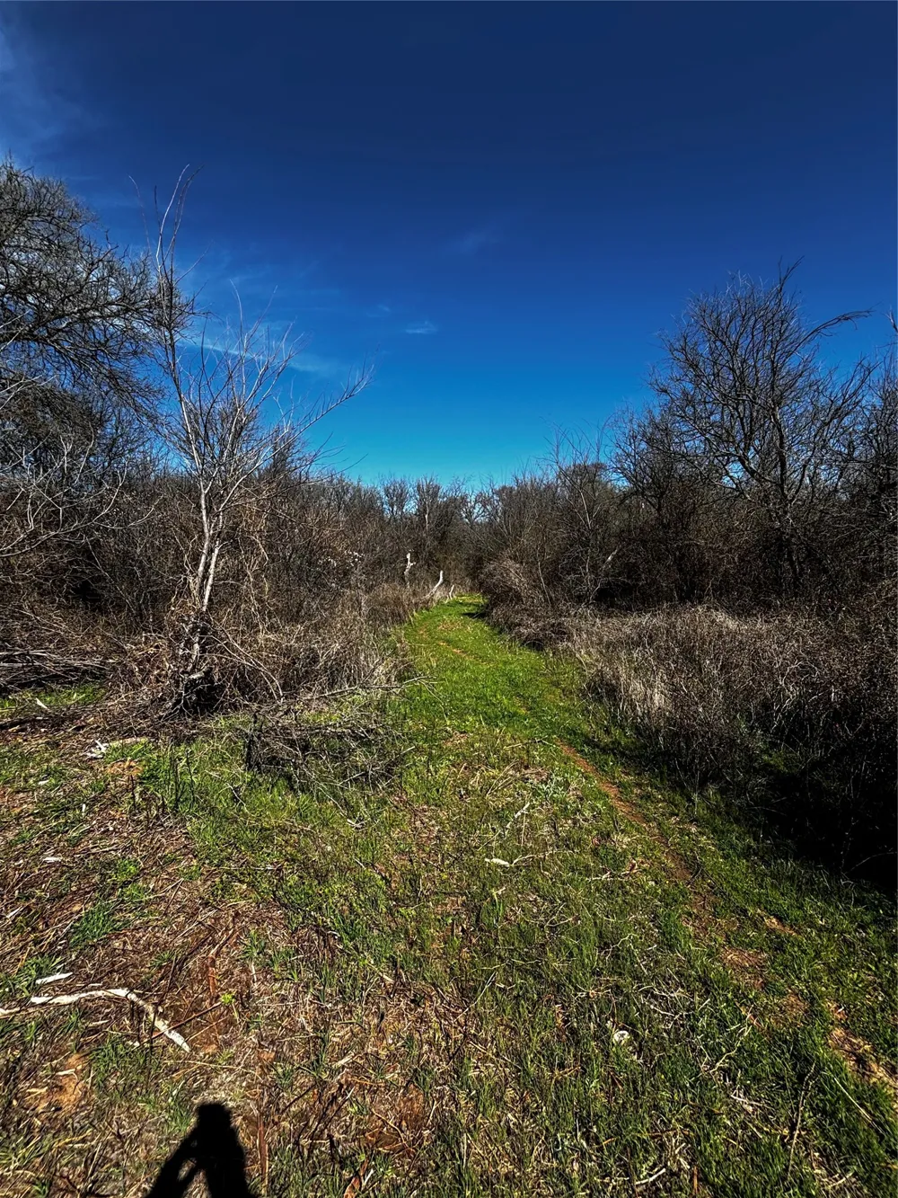 382 High Plains Court Bellevue, TX 76230