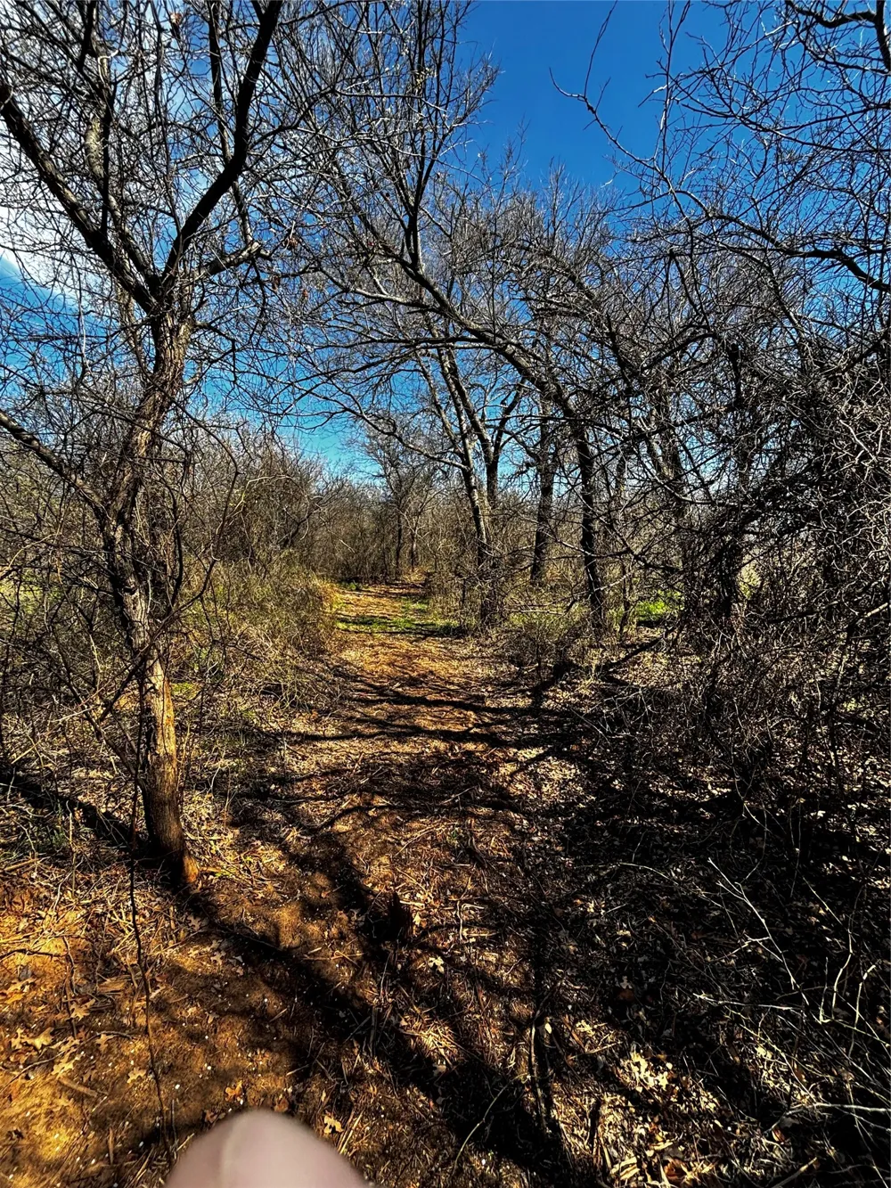 382 High Plains Court Bellevue, TX 76230