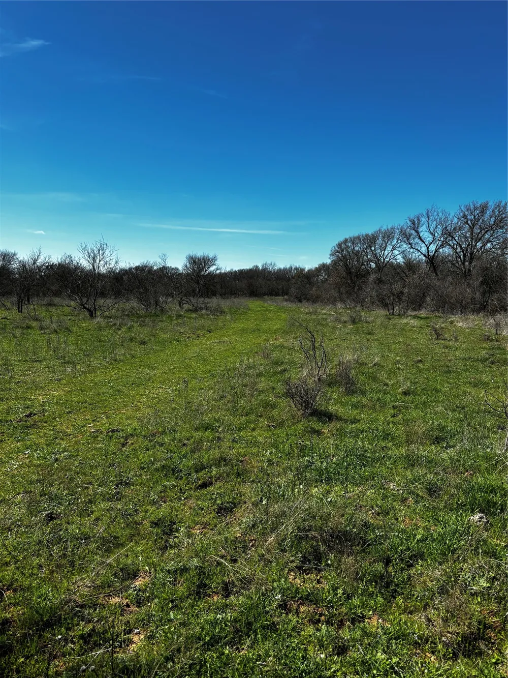 382 High Plains Court Bellevue, TX 76230