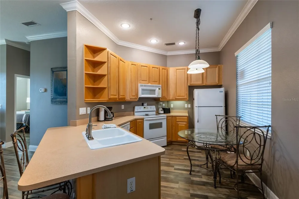 21032 PICASSO COURT #205 Land O Lakes, FL 34637