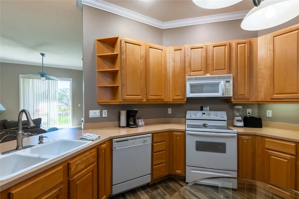 21032 PICASSO COURT #205 Land O Lakes, FL 34637