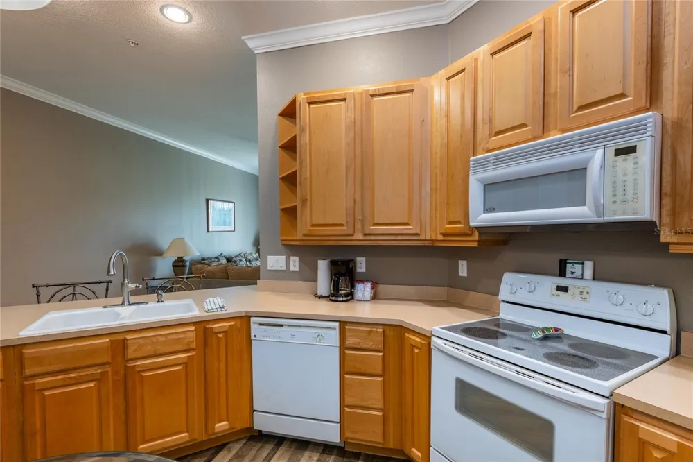 21032 PICASSO COURT #205 Land O Lakes, FL 34637