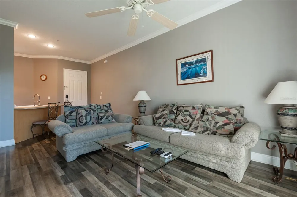 21032 PICASSO COURT #205 Land O Lakes, FL 34637