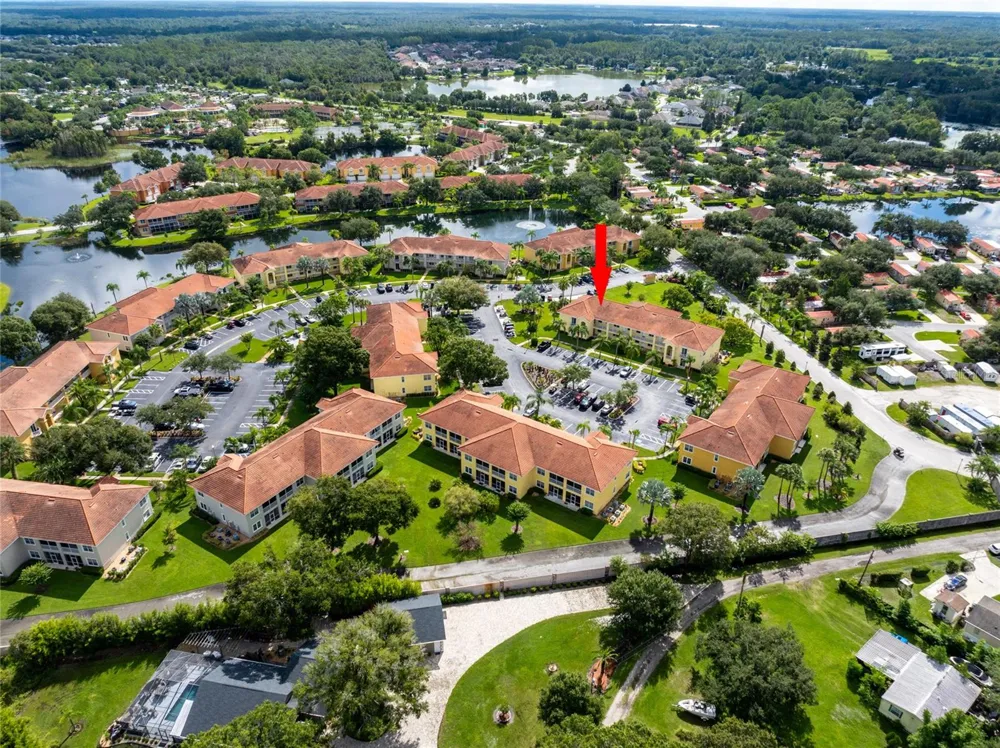 21032 PICASSO COURT #205 Land O Lakes, FL 34637