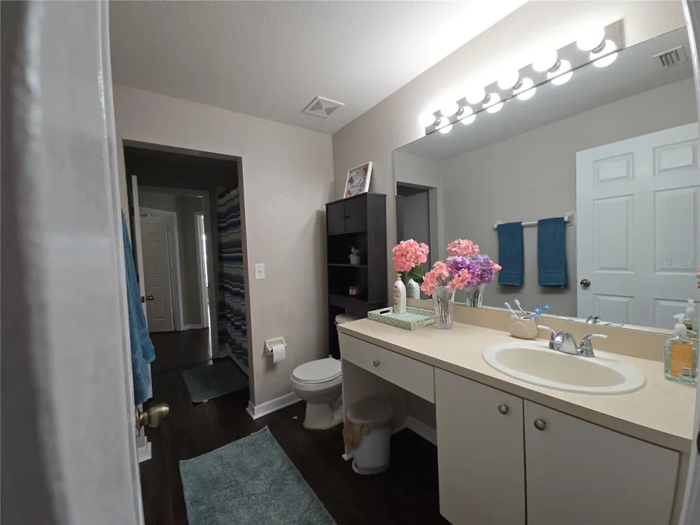 11422 MOUNTAIN BAY DRIVE Riverview, FL 33569