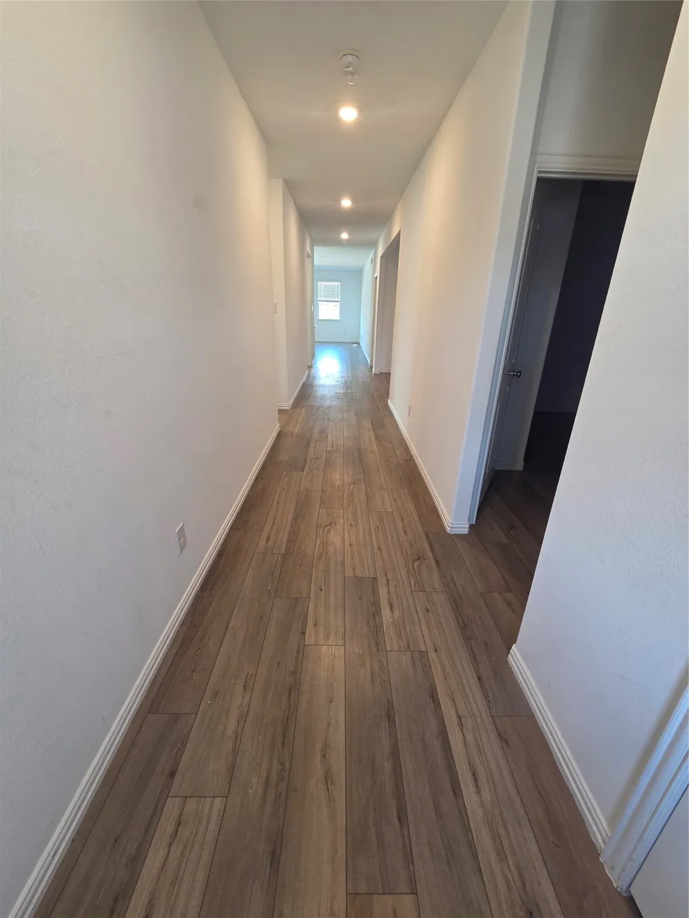 3300 Cardinal Flower Place McKinney, TX 75071