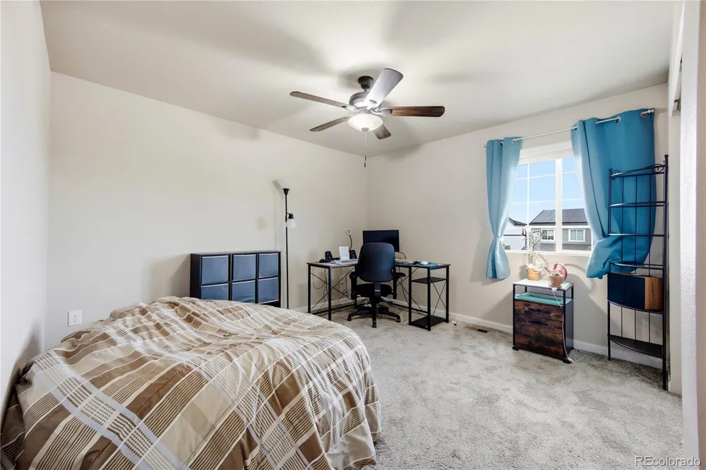 5355 Blue Lunar Lane Castle Rock, CO 80104