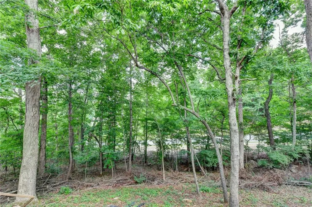 3545 Sentry View Trace Suwanee, GA 30024
