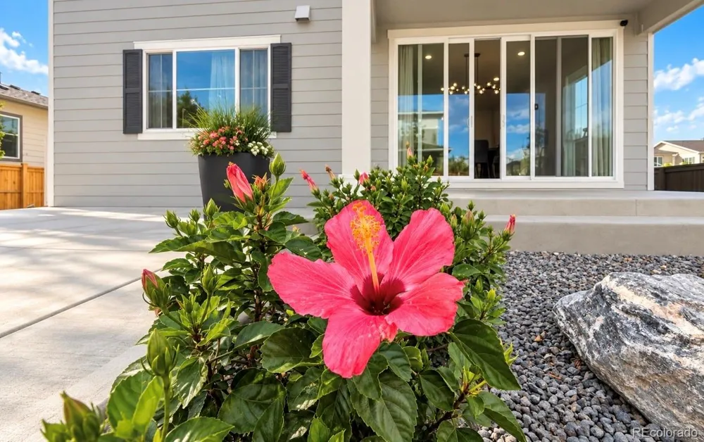 9142 Telluride Court Commerce City, CO 80022