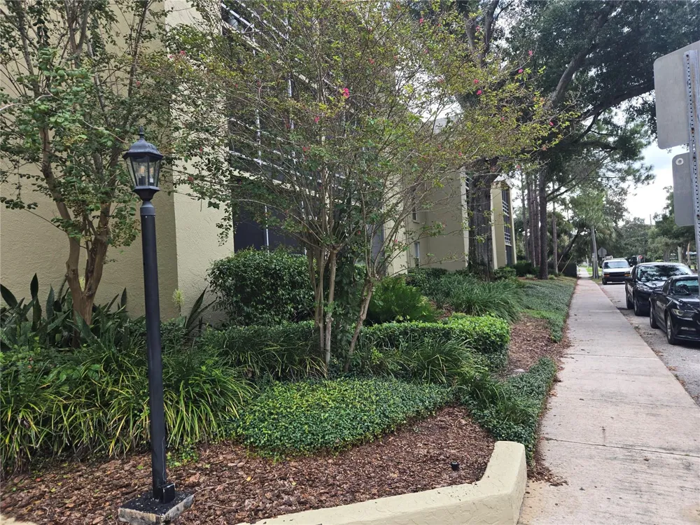 2302 S MANHATTAN AVENUE #214 Tampa, FL 33629