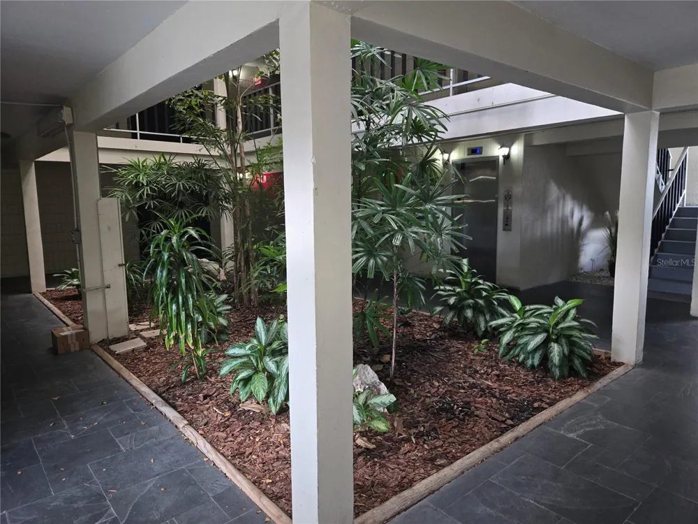 2302 S MANHATTAN AVENUE #214 Tampa, FL 33629