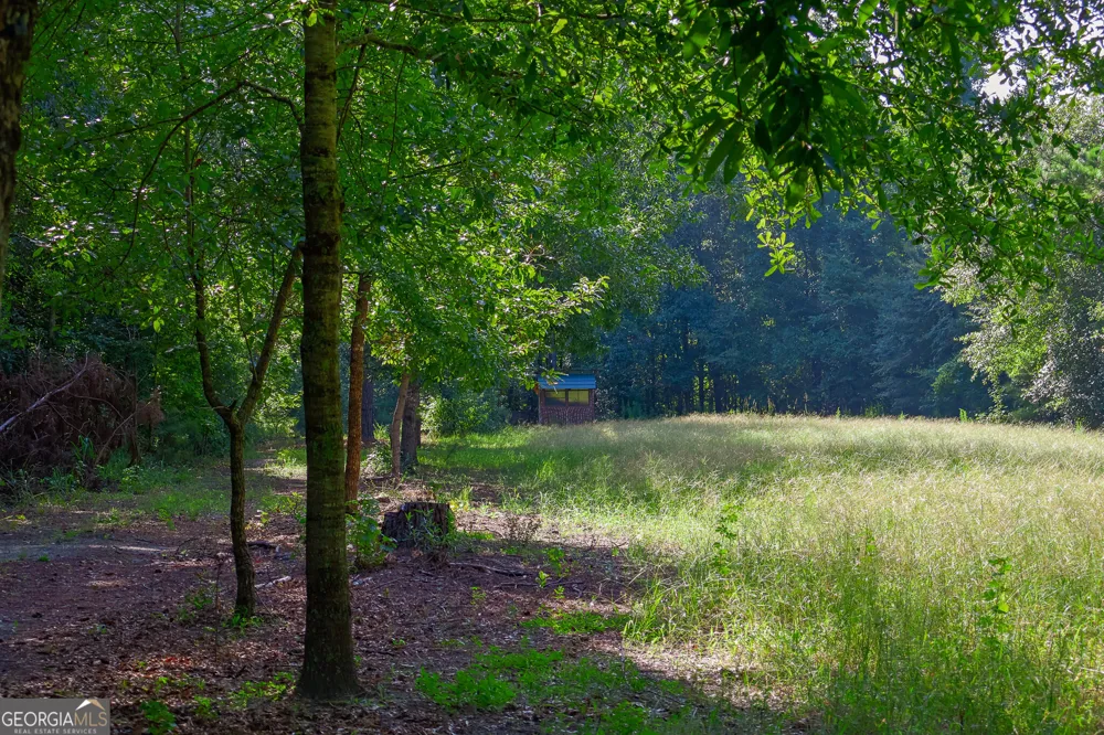 1362 Doyle RD Sardis, GA 30456