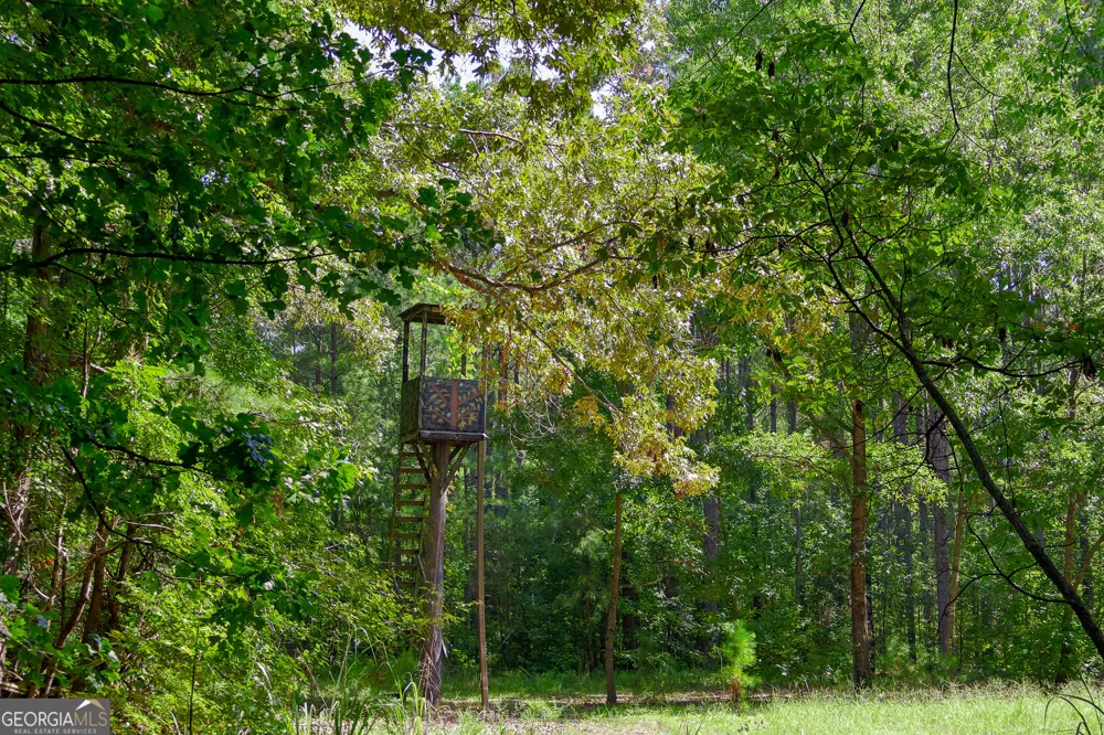 1362 Doyle RD Sardis, GA 30456
