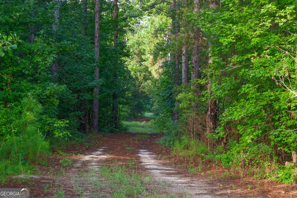 1362 Doyle RD Sardis, GA 30456