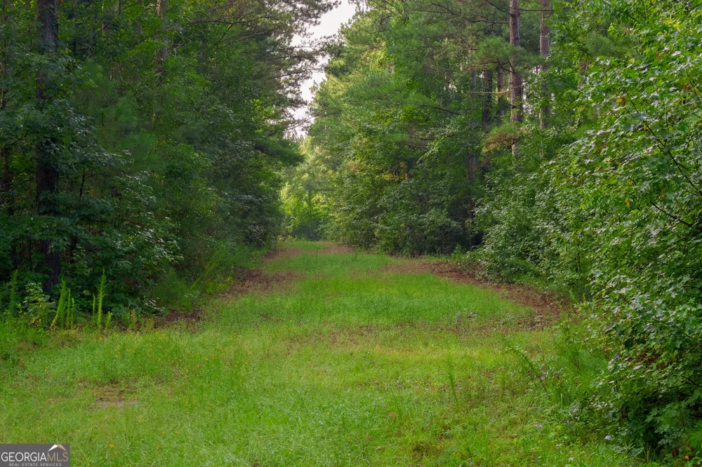 1362 Doyle RD Sardis, GA 30456