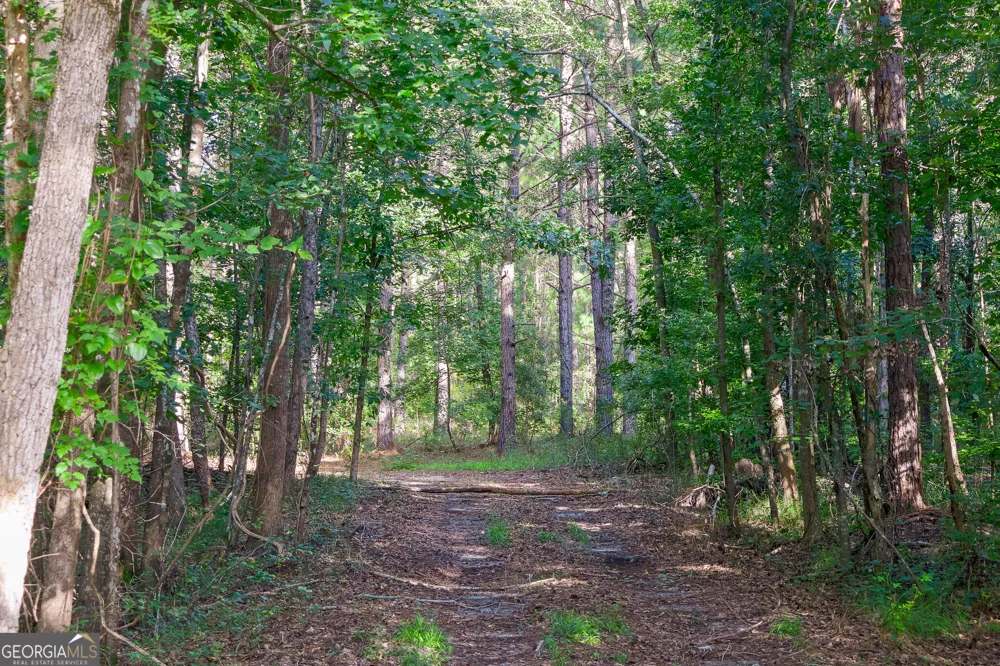 1362 Doyle RD Sardis, GA 30456