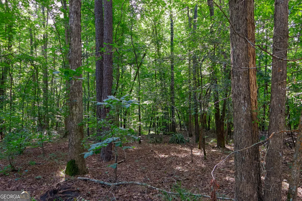 1362 Doyle RD Sardis, GA 30456