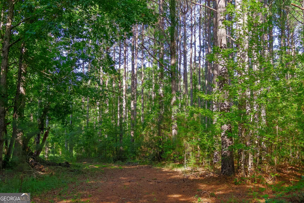 1362 Doyle RD Sardis, GA 30456