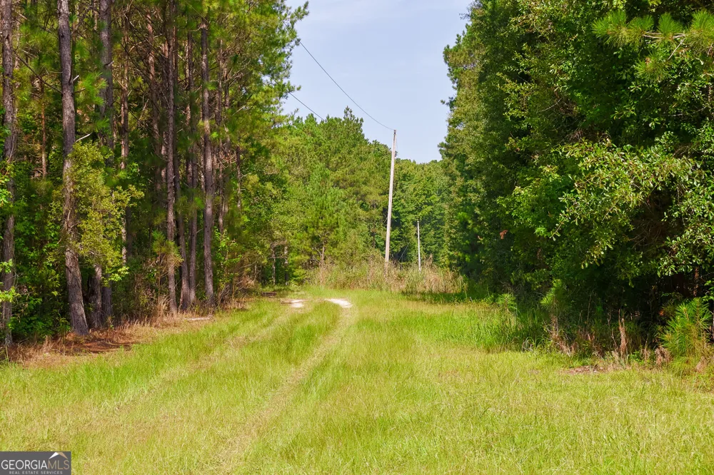 1362 Doyle RD Sardis, GA 30456
