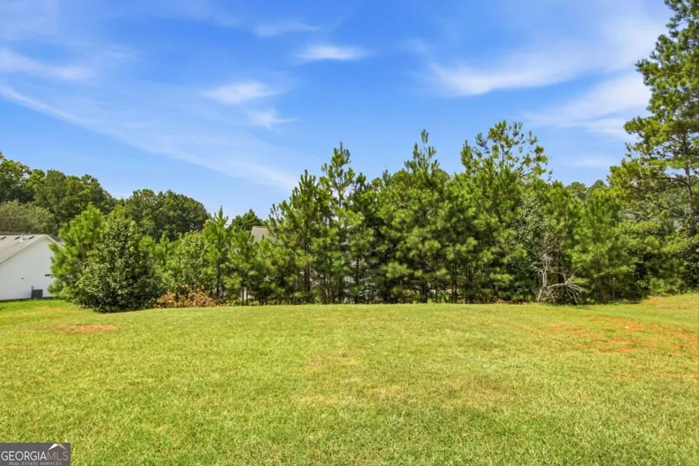 4387 Wheaton WAY Snellville, GA 30039