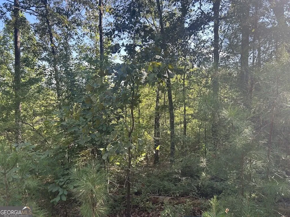 0 Springer Road Whitesburg, GA 30185
