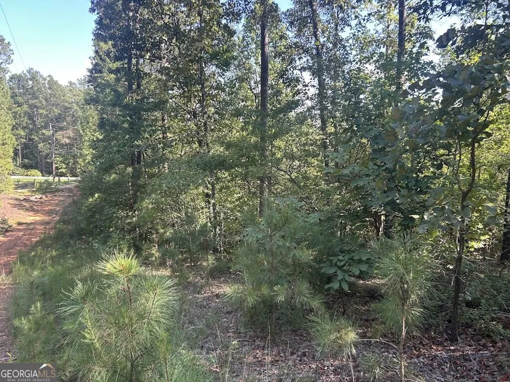 0 Springer Road Whitesburg, GA 30185