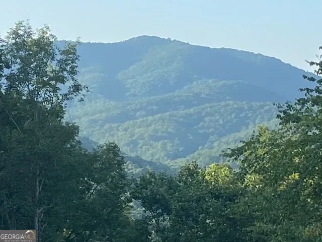 804 Settlers Ridge RD Ellijay, GA 30540