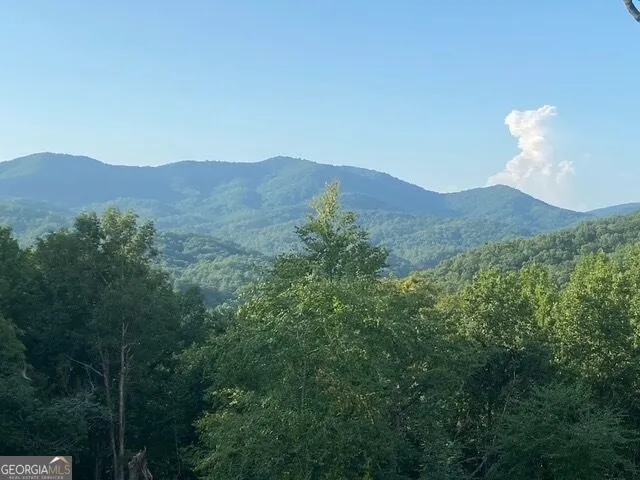 804 Settlers Ridge RD Ellijay, GA 30540