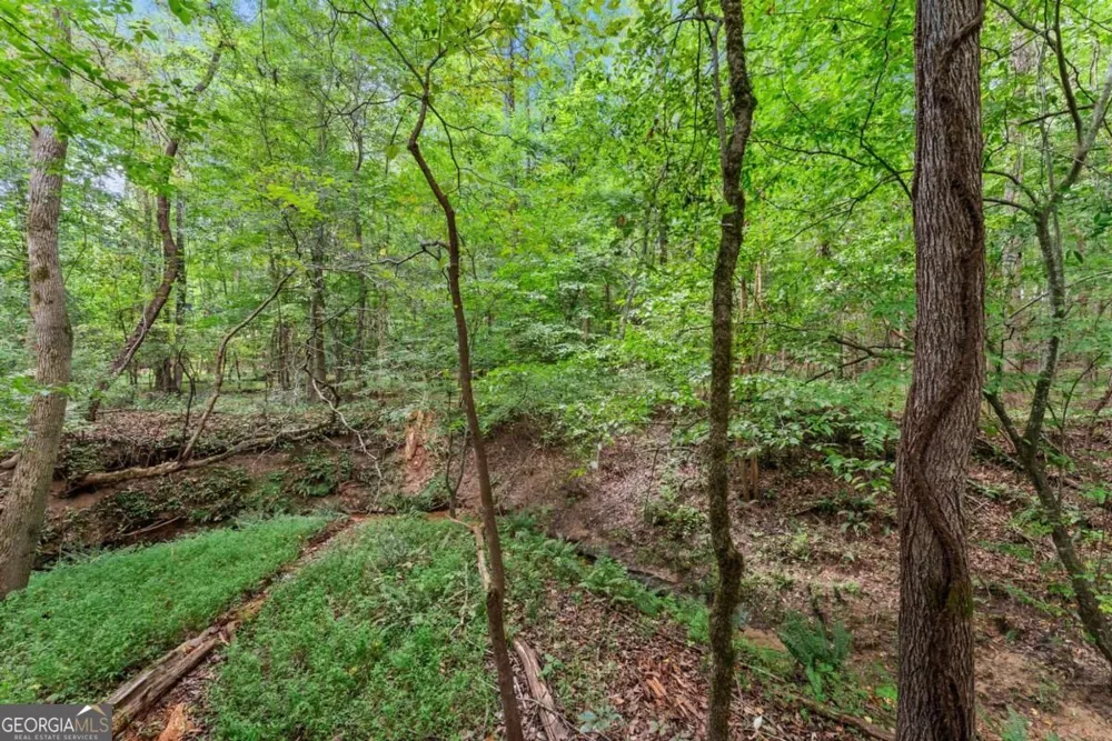 5720 Winding Rose TRL Flowery Branch, GA 30542