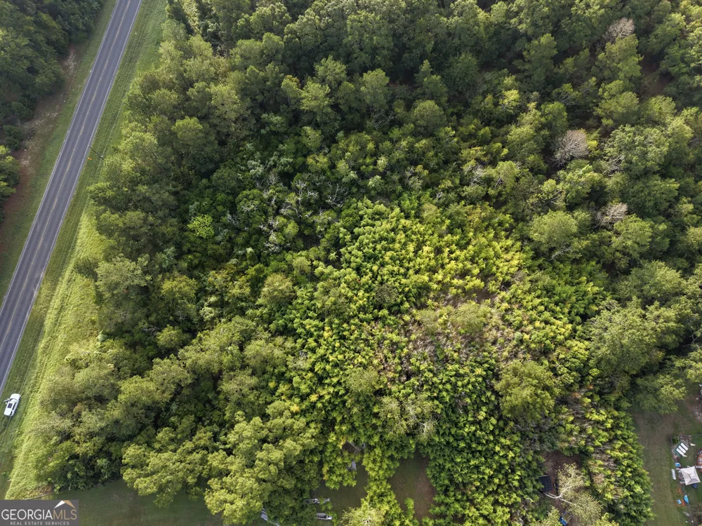 0 HWY 29 hwy 29 East Dublin, GA 31027