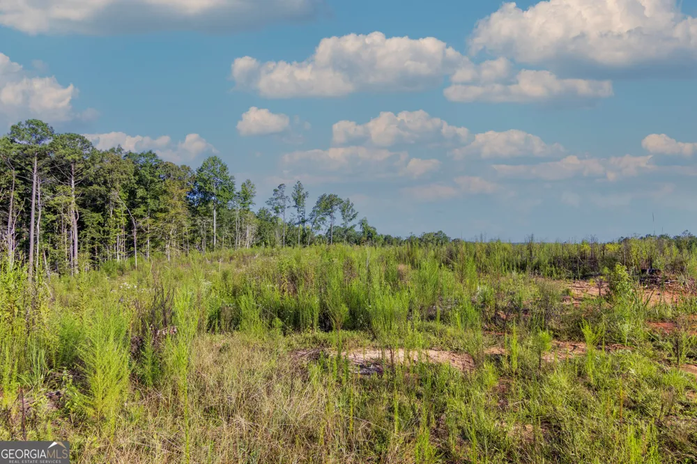 TRACT 1 Highway 0036 Woodland, GA 31836