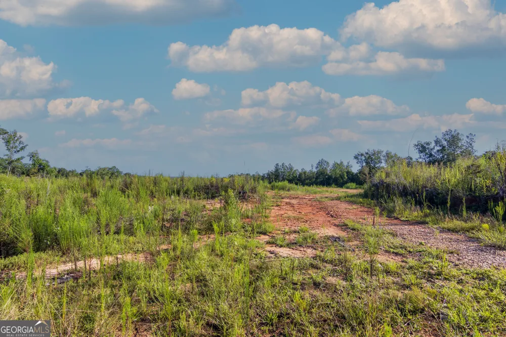TRACT 1 Highway 0036 Woodland, GA 31836