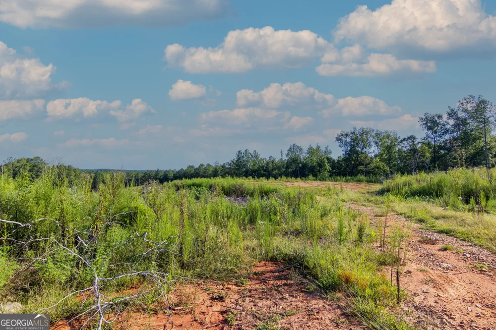TRACT 1 Highway 0036 Woodland, GA 31836