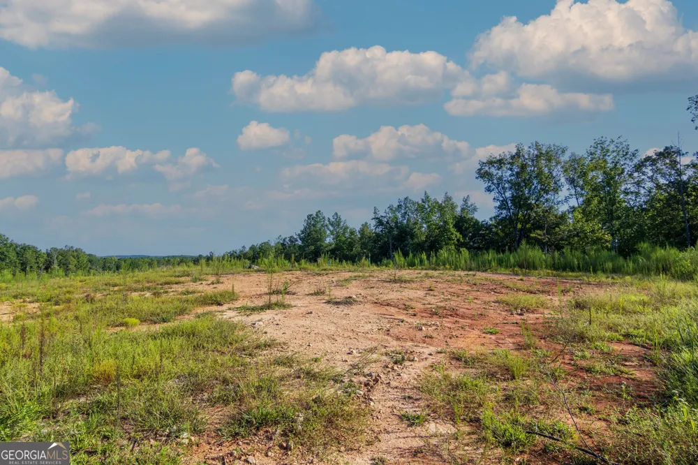 TRACT 1 Highway 0036 Woodland, GA 31836
